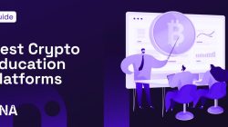 Affordable Crypto Education Programs for Students
