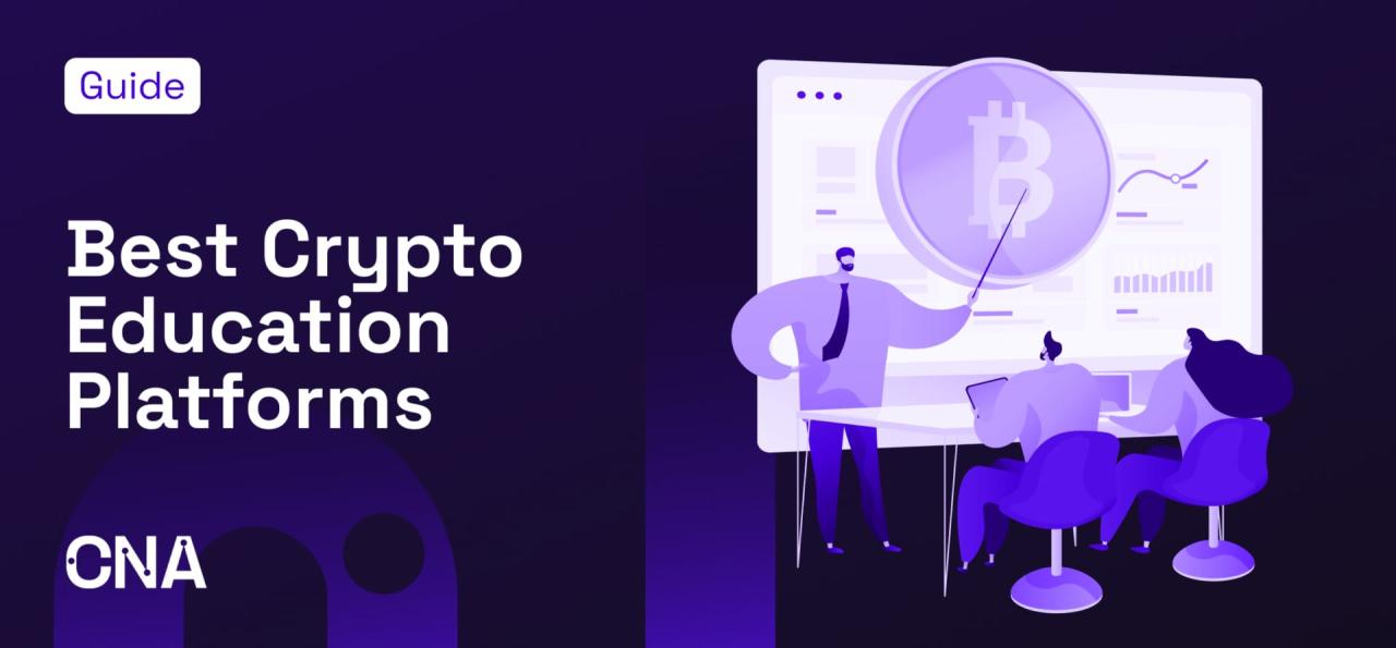 Affordable Crypto Education Programs for Students